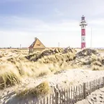 In With Ocean Views