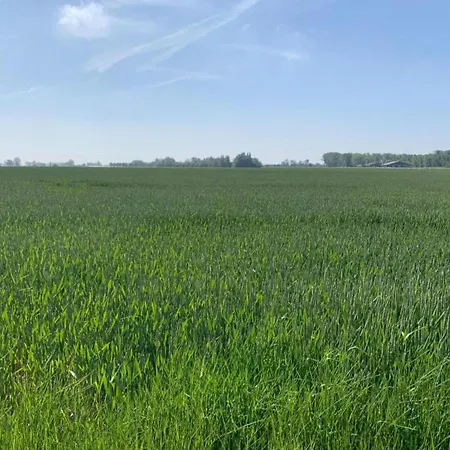 公寓 In With Ocean Views