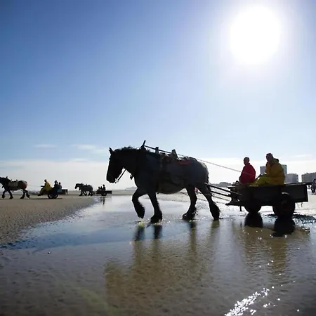 Apartamento In With Ocean Views Nieuwpoort