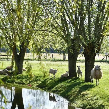 In With Ocean Views Apartamento Nieuwpoort