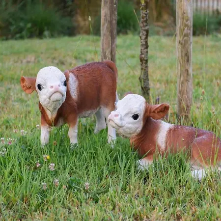 In With Ocean Views Apartamento