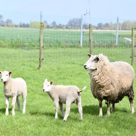 In With Ocean Views *