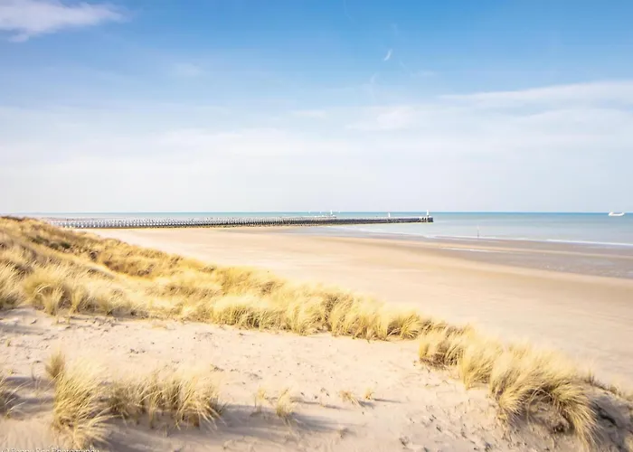 In With Ocean Views דירה *