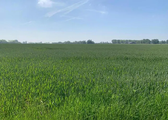 דירה In With Ocean Views