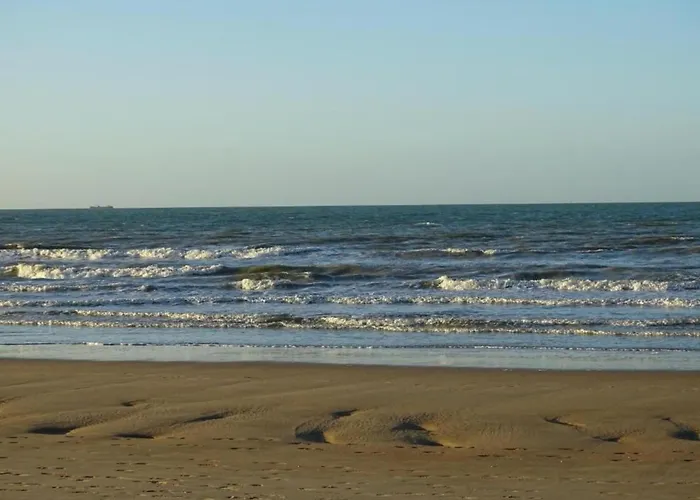 In With Ocean Views *