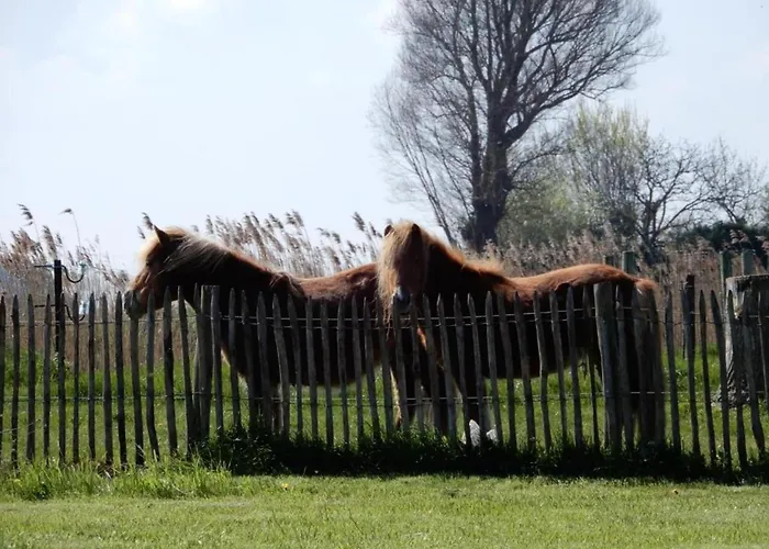 In With Ocean Views ניופורט