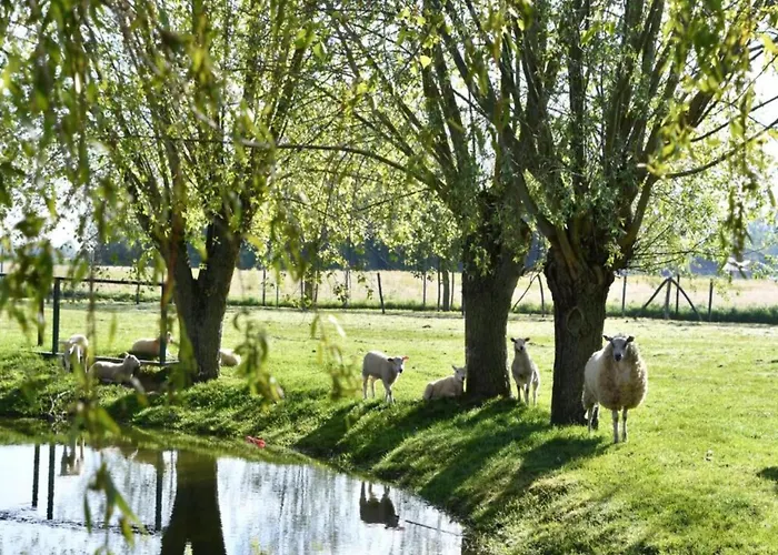 In With Ocean Views דירה ניופורט